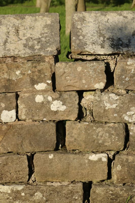 Stone Wall Repair in Leander, TX